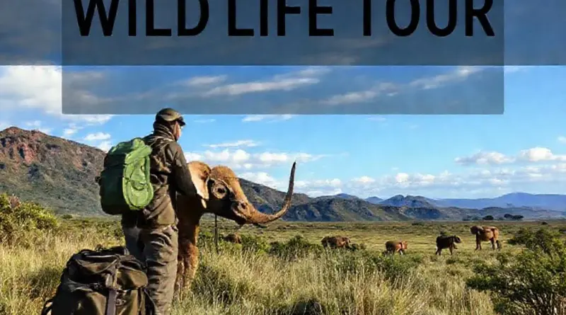How to Prepare for the Tour: Packing List, Physical Requirements, Responsible Wildlife Viewing, and Ethical Photography Tips