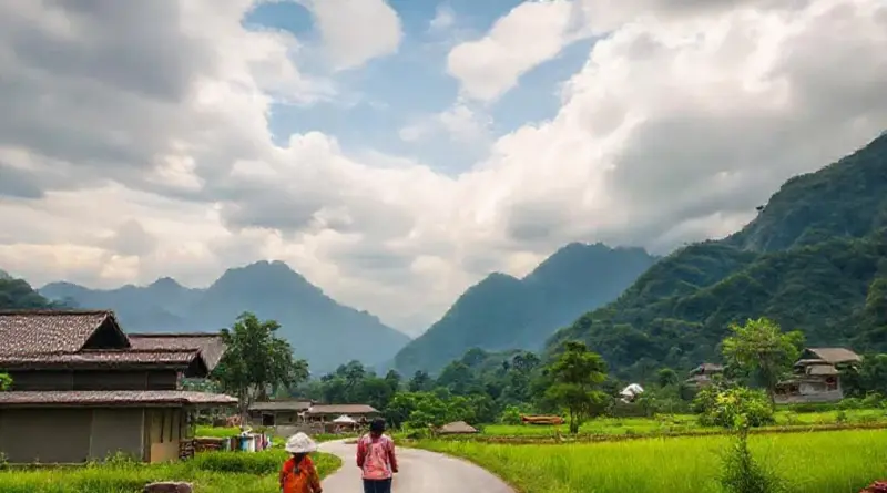How to pick the right workshop: class levels, duration, pricing, location (Chiang Rai city vs. surrounding villages), and instructor credentials