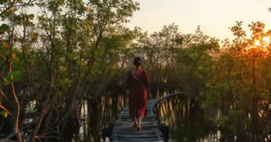 Mindful pilgrimage and walking meditation in Trat’s mangrove forests: a serene guide to practice, places, and planning