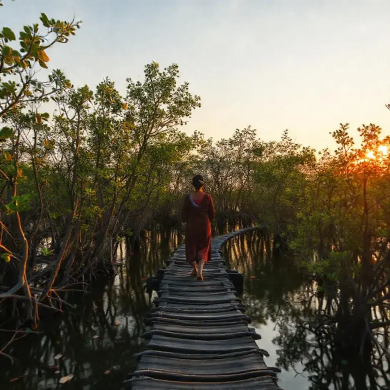 Mindful pilgrimage and walking meditation in Trat’s mangrove forests: a serene guide to practice, places, and planning