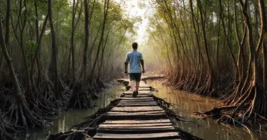 Step-by-step walking meditation techniques tailored for mangrove environments