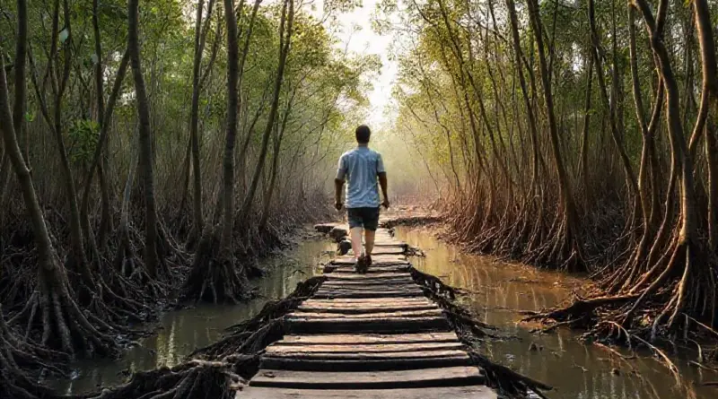 Step-by-step walking meditation techniques tailored for mangrove environments