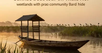 Thale Noi Wetland Sunrise Boat Tour: Ultimate Guide to the Community Bird Hide Experience