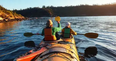What the Kayak Tour Includes: Route, Activities, Ranger-Led Education, Safety, and Best Times to Go