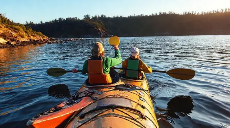 What the Kayak Tour Includes: Route, Activities, Ranger-Led Education, Safety, and Best Times to Go