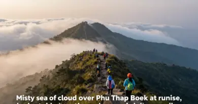 Best time to visit Phu Thap Boek for the fog sea and weather tips for a 3-day itinerary