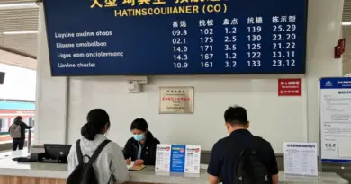 Buying Tickets and Booking Strategies: How to Purchase Train and Minivan Tickets, Seat Types, Prices, and Advance Booking Tips