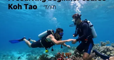Freediving Level 1 on Ko Tao: Essential Equalization, Rescue, and Safety Guide for Beginners and Instructors