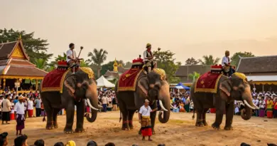 Why travelers choose Surin Elephant Round-Up: what to expect, best times to visit, and ticket/tour options