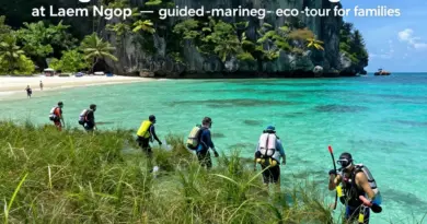 Seagrass Meadow Walk at Laem Ngop: A Guided Marine-Biology Experience for Eco-Tourists and Families