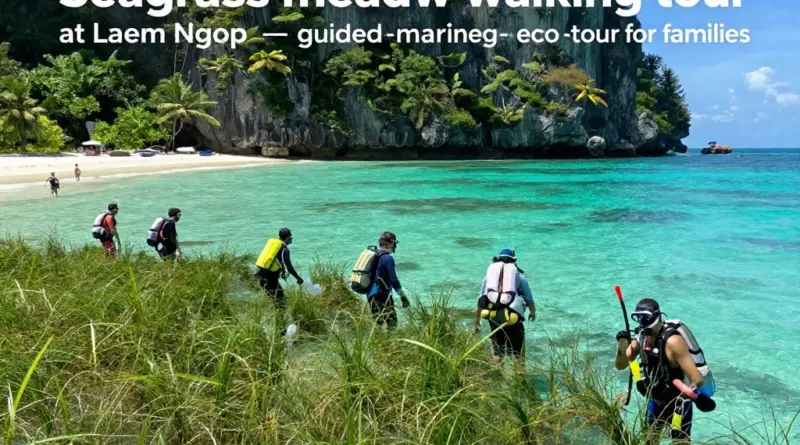 Seagrass Meadow Walk at Laem Ngop: A Guided Marine-Biology Experience for Eco-Tourists and Families