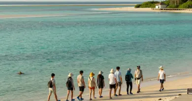 What to Expect on a Seagrass Meadow Walk at Laem Ngop — timing, meeting points, gear, accessibility, and safety guidelines for visitors