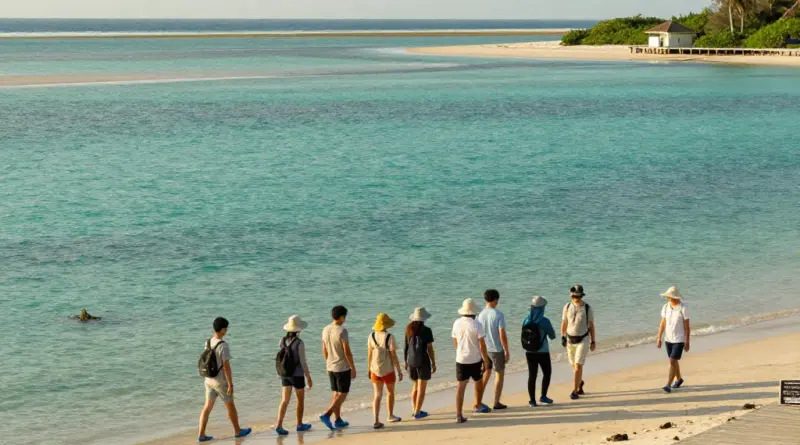 What to Expect on a Seagrass Meadow Walk at Laem Ngop — timing, meeting points, gear, accessibility, and safety guidelines for visitors