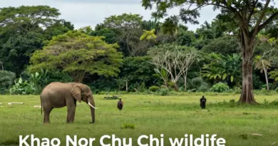 Best Wildlife Spotting Opportunities at Khao Nor Chu Chi