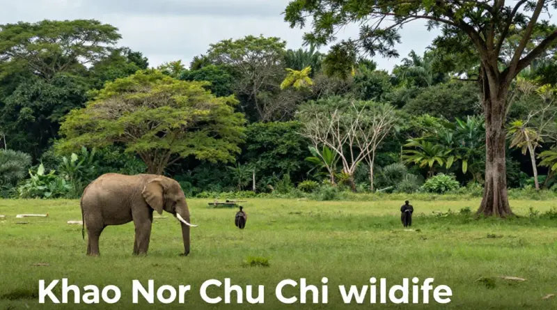 Best Wildlife Spotting Opportunities at Khao Nor Chu Chi