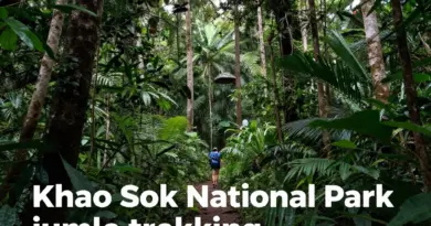Khao Sok National Park Jungle Trekking: The Ultimate Guide to Thailand’s Wild Rainforest Adventure