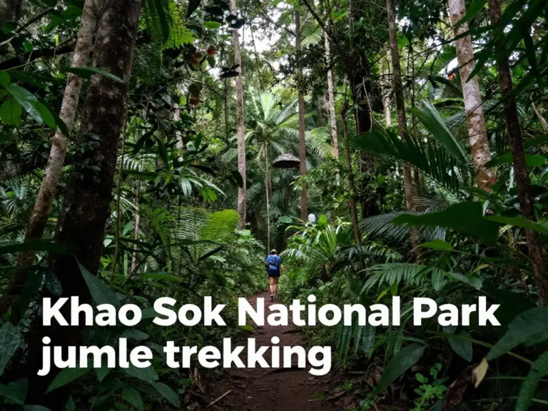 Khao Sok National Park Jungle Trekking: The Ultimate Guide to Thailand’s Wild Rainforest Adventure