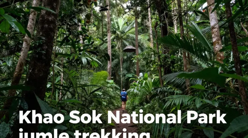 Khao Sok National Park Jungle Trekking: The Ultimate Guide to Thailand’s Wild Rainforest Adventure