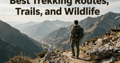 Best Trekking Routes, Trails, and Wildlife You Can Expect