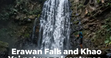 Top Things to Do at Erawan Falls and Khao Yai for Nature Lovers