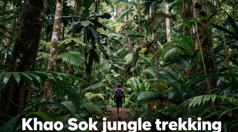 What Makes Khao Sok Jungle Trekking So Special?