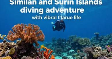 The Similan & Surin Islands Diving Guide: Best Sites, Seasons, Marine Life, and Trip Planning