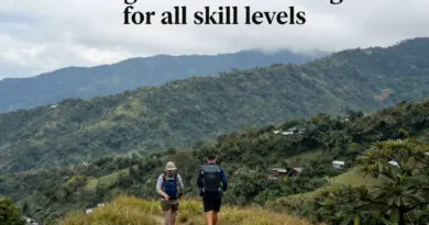 The Best Trekking Trails Near Chiang Mai for Every Skill Level