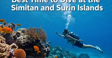 When Is the Best Time to Dive the Similan and Surin Islands?