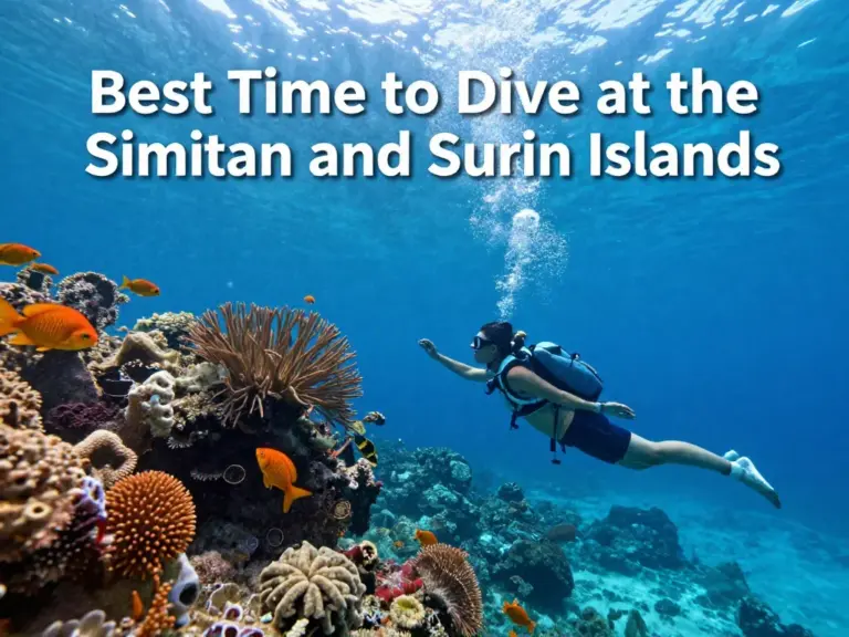 When Is the Best Time to Dive the Similan and Surin Islands?