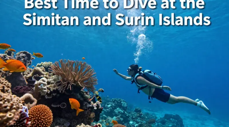 When Is the Best Time to Dive the Similan and Surin Islands?