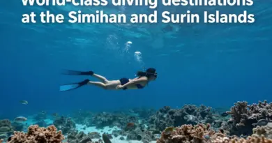 Why the Similan and Surin Islands Are World-Class Diving Destinations