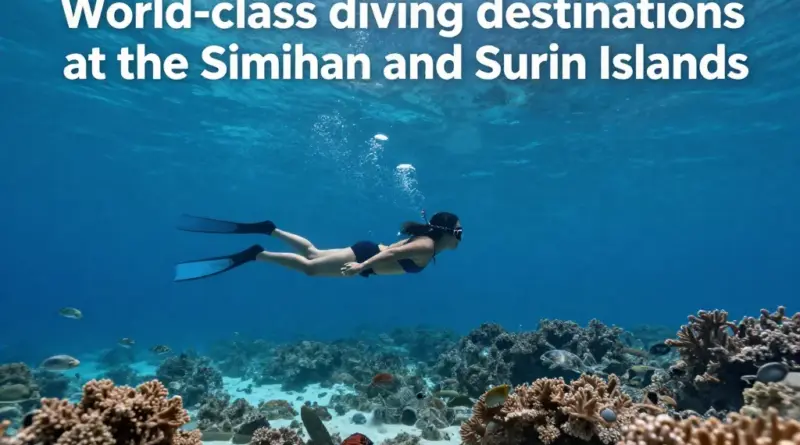 Why the Similan and Surin Islands Are World-Class Diving Destinations