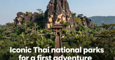 Top National Parks in Thailand You Should Visit for Your First Adventure