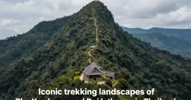 Why Phu Kradueng and Doi Inthanon Are Thailand’s Most Iconic Trekking Destinations