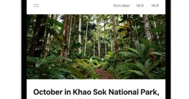 Best Time to Visit Khao Sok: What October Is Really Like