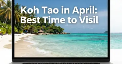Best Time to Visit Koh Tao: What April Is Really Like